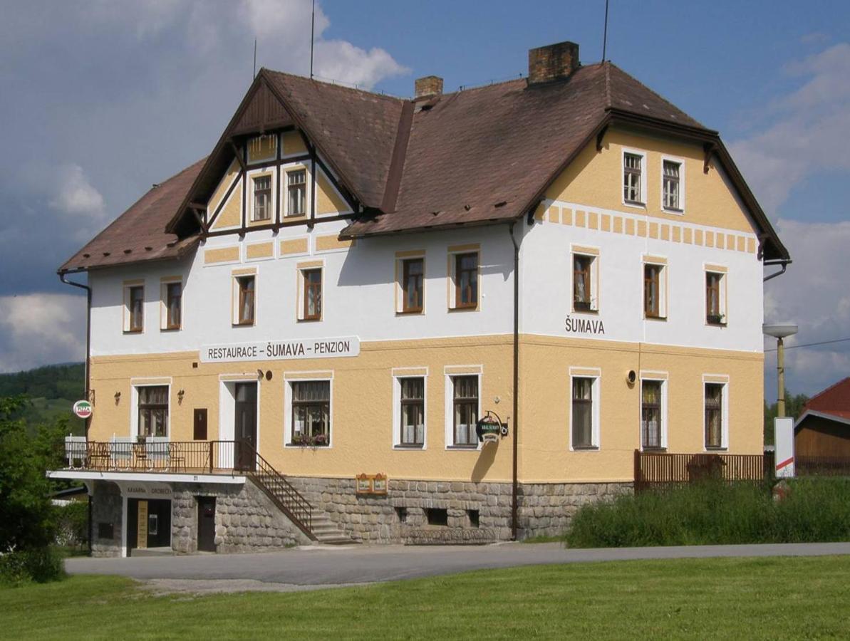 Penzion Sumava - Apartman Горни-Плана Экстерьер фото