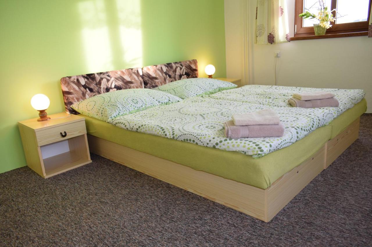 Penzion Sumava - Apartman Горни-Плана Экстерьер фото